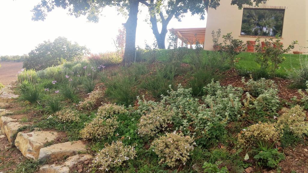 Agriturismo Sugheretello Semproniano Kültér fotó