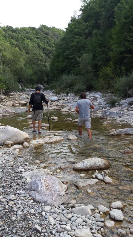 Agriturismo Sugheretello Semproniano Kültér fotó