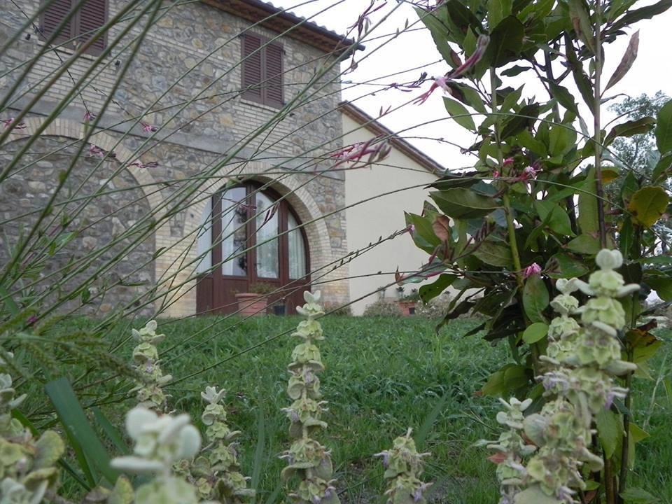 Agriturismo Sugheretello Semproniano Kültér fotó