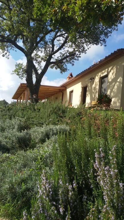 Agriturismo Sugheretello Semproniano Kültér fotó